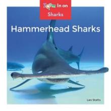 Cover image of Hammerhead sharks