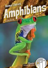 Cover image of Amphibians