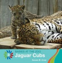 Cover image of Jaguar cubs