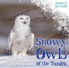 Cover image of Snowy owls of the tundra