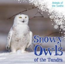 Cover image of Snowy owls of the tundra