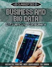 Cover image of Business and big data : influencing consumers