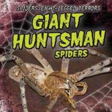 Cover image of Giant huntsman spiders