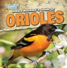 Cover image of A bird watcher's guide to orioles