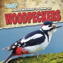 Cover image of A bird watcher's guide to woodpeckers