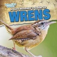 Cover image of A bird watcher's guide to wrens