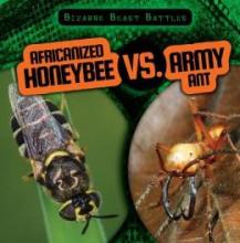 Cover image of Africanized honeybee vs. army ant