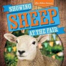 Cover image of Showing sheep at the fair