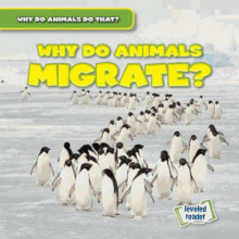 Cover image of Why do animals migrate?