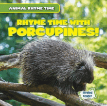 Cover image of Rhyme time with porcupines!