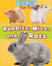 Cover image of Rabbits, mice, and rats