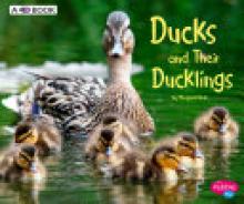 Cover image of Ducks and their ducklings