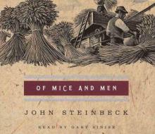 Cover image of Of mice and men