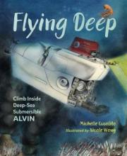 Cover image of Flying deep