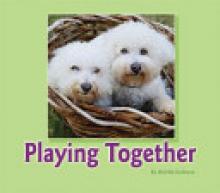 Cover image of Playing together
