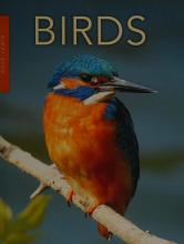 Cover image of Birds