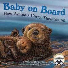Cover image of Baby on board