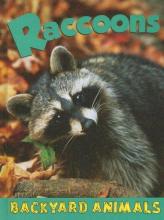 Cover image of Raccoons