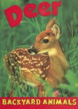 Cover image of Deer