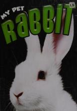 Cover image of Rabbit