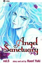 Cover image of Angel sanctuary