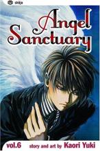 Cover image of Angel sanctuary