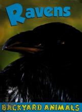 Cover image of Ravens