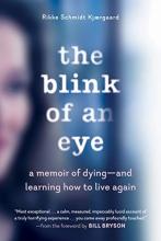 Cover image of The blink of an eye