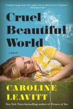 Cover image of Cruel beautiful world