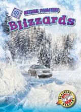 Cover image of Blizzards