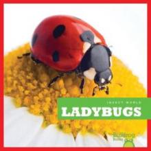 Cover image of Ladybugs