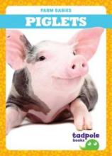 Cover image of Piglets