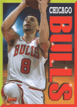 Cover image of Chicago Bulls