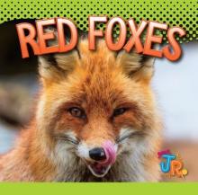 Cover image of Red foxes