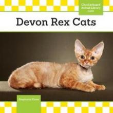 Cover image of Devon Rex cats