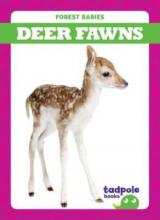 Cover image of Deer fawns