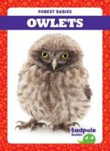 Cover image of Owlets