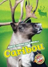 Cover image of Caribou