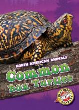 Cover image of Common box turtles