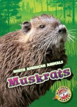 Cover image of Muskrats