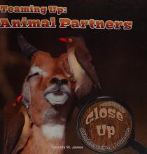 Cover image of Teaming up