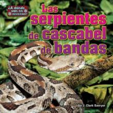 Cover image of Las serpientes de cascabel de bandas