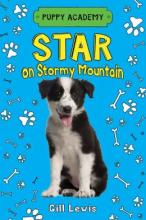 Cover image of Star on Stormy Mountain