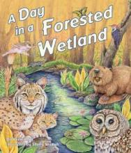 Cover image of A day in a forested wetland