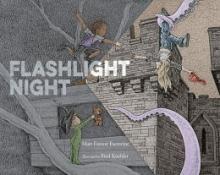 Cover image of Flashlight night