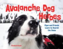 Cover image of Avalanche dog heroes