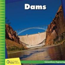 Cover image of Dams