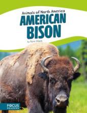 Cover image of American bison