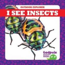 Cover image of I see insects