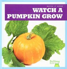 Cover image of Watch a pumpkin grow